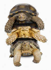 Три вещи для бесплатного продвижения сайтов Три вещи для бесплатного продвижения сайтов